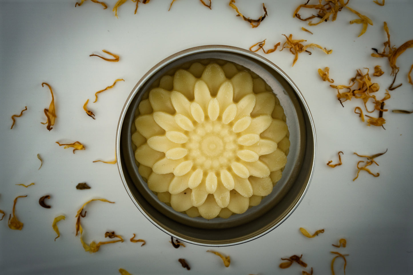 Island Natural Skincare flower shaped tallow lotion bar in a metal container with dried flowers on a white background