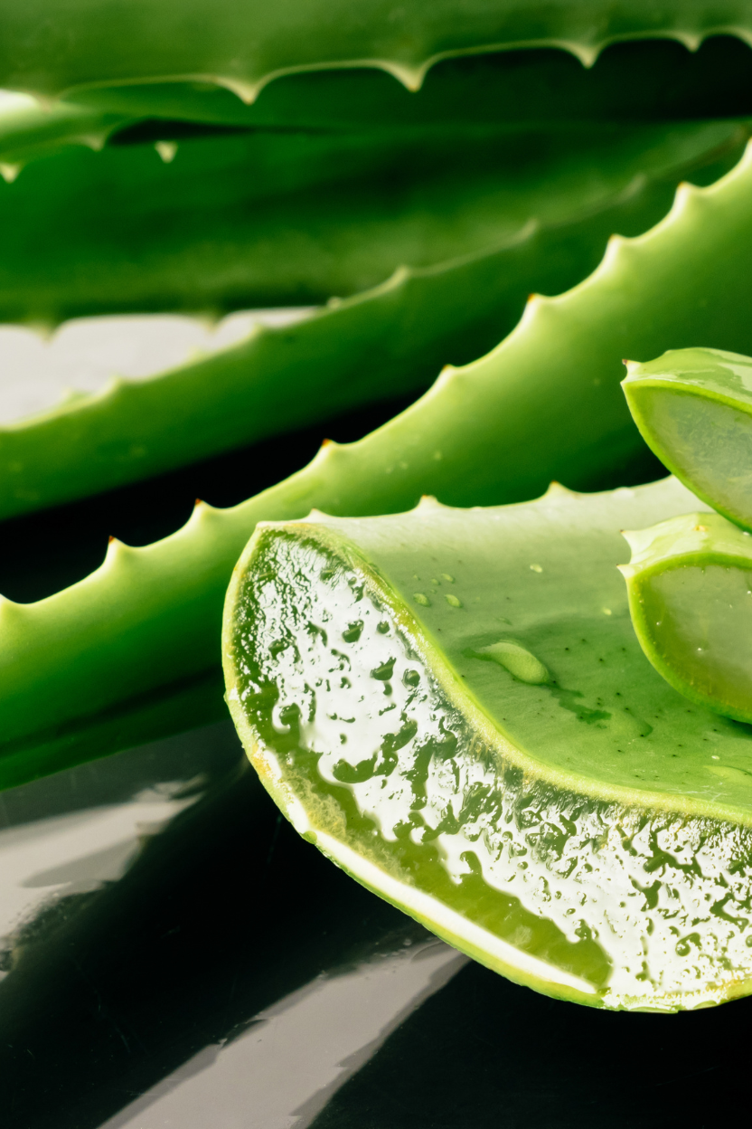 Close-up of a sliced aloe vera plant with clear gel on a dark background